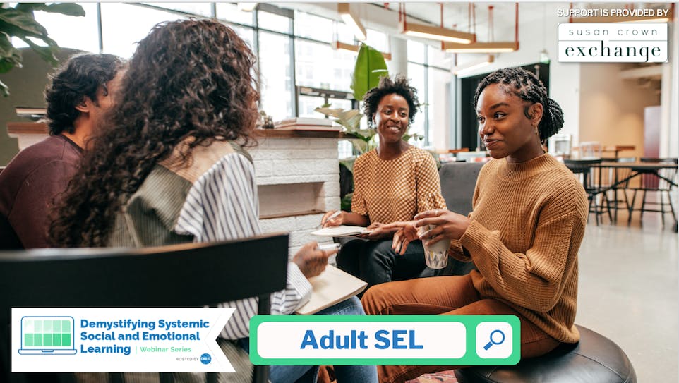 Demystifying Systemic Social and Emotional Learning: Adult SEL
