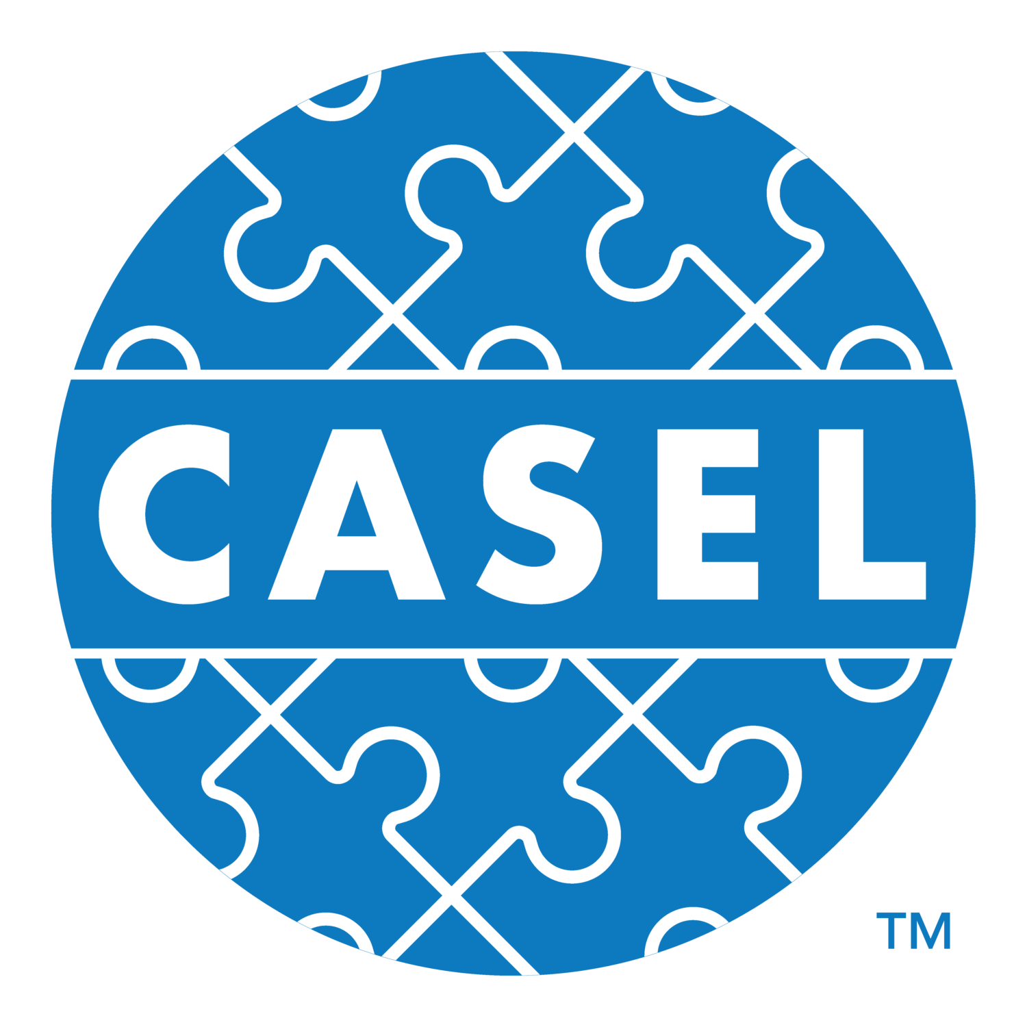 CASEL